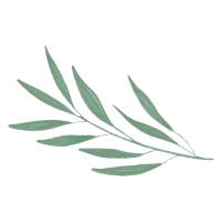 leaf 2
